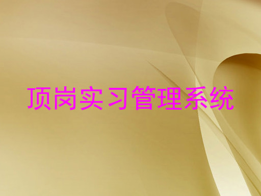 顶岗实习管理系统