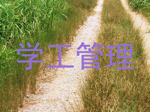 学工管理