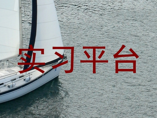 实习平台