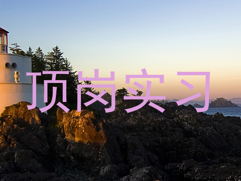 顶岗实习