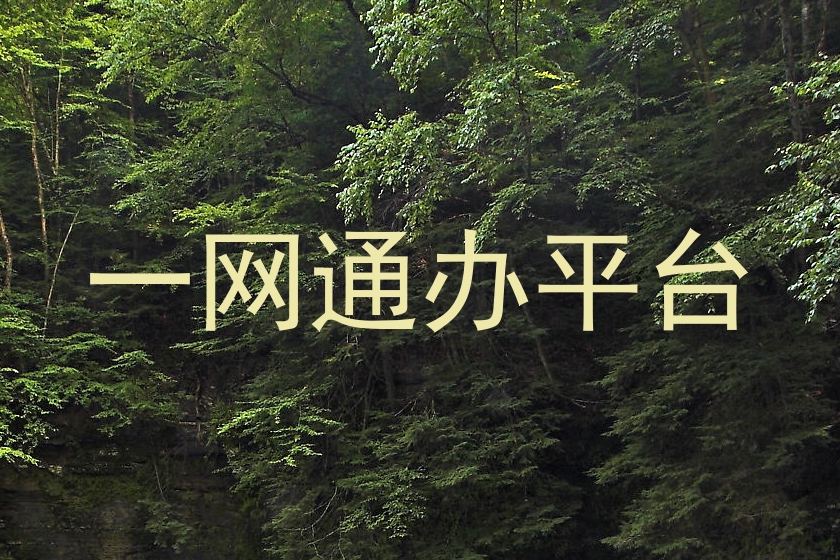 一网通办平台