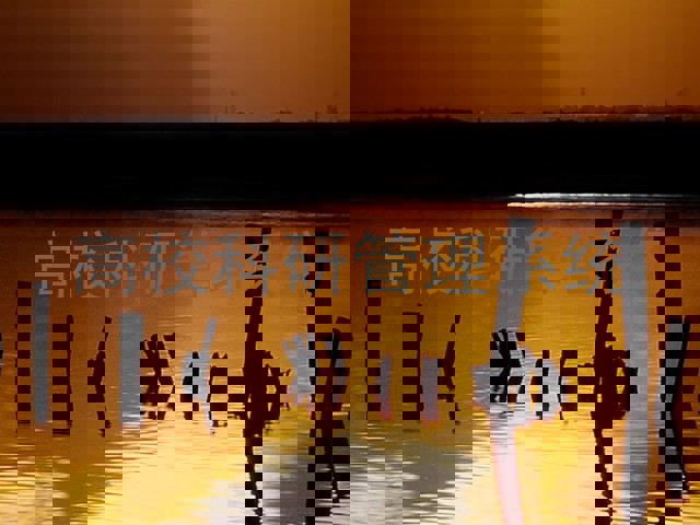 高校科研管理系统