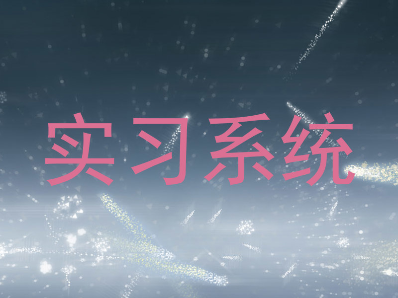 实习系统