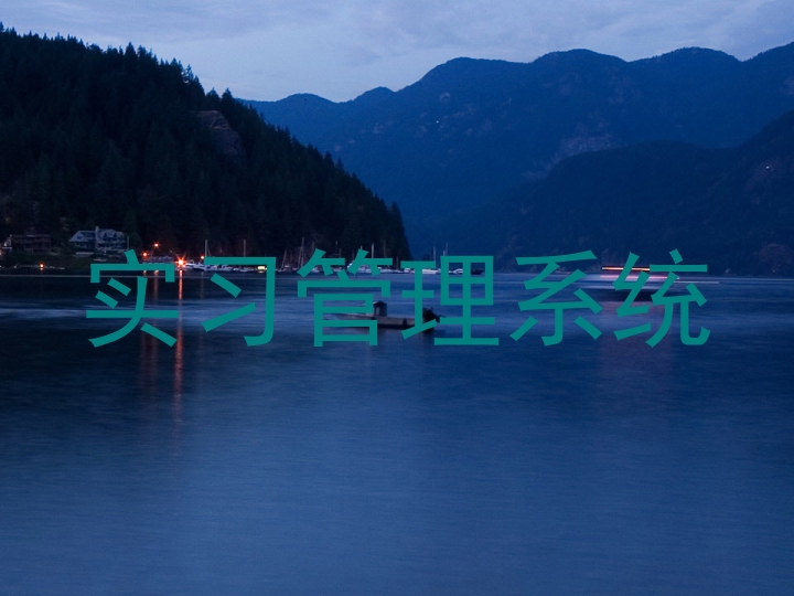 实习管理系统