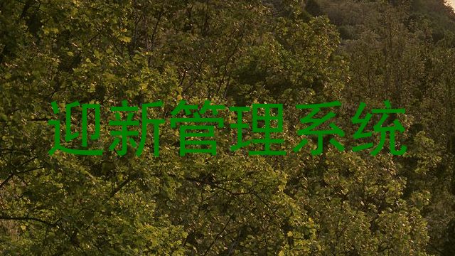 迎新管理系统