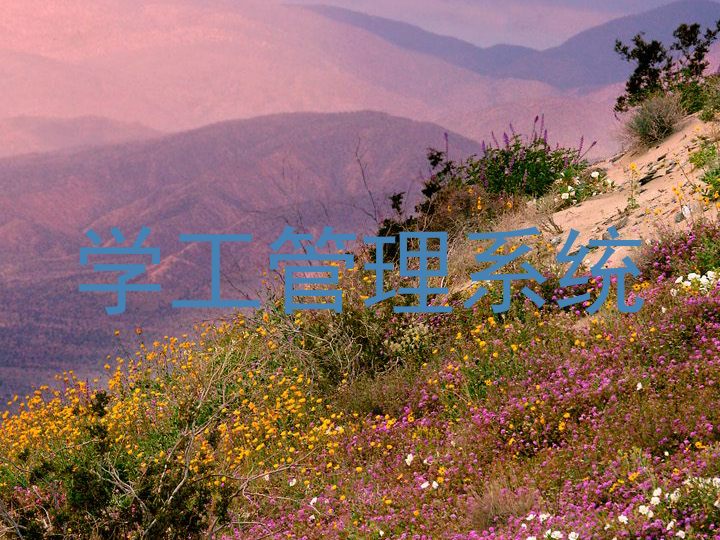 学工管理系统