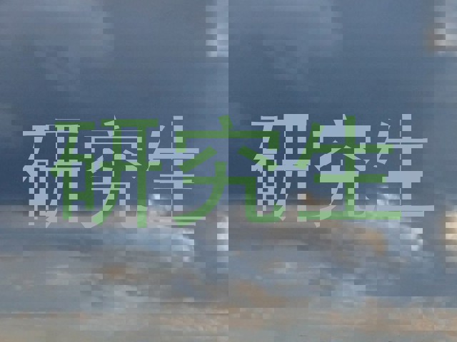 研究生