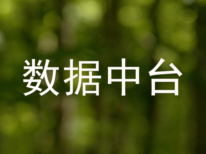 数据中台