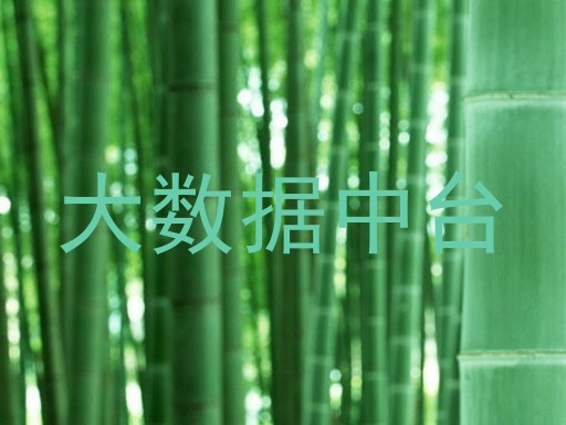 大数据中台