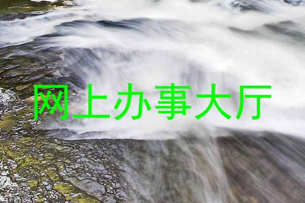 网上办事大厅