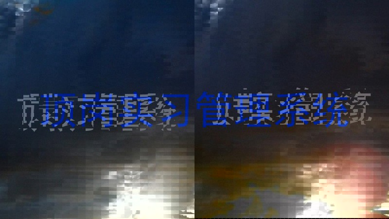 顶岗实习管理系统