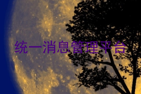 统一消息管理平台