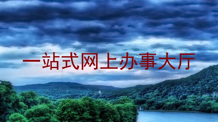 一站式网上办事大厅