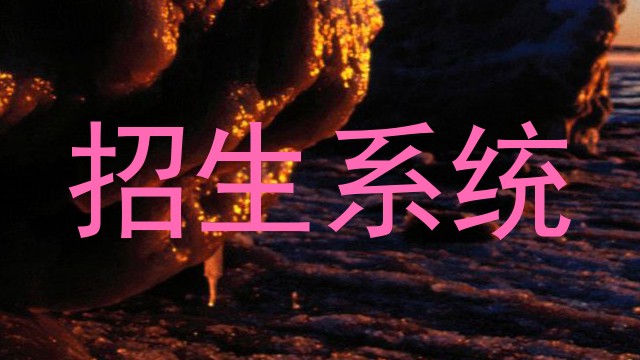 招生系统