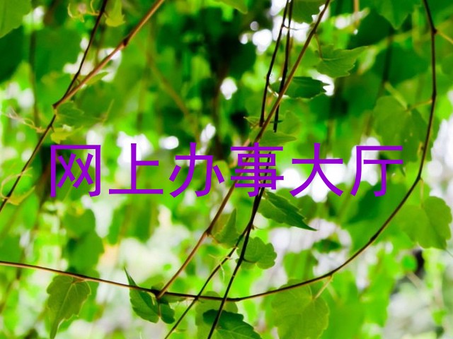 网上办事大厅