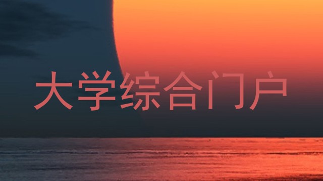 大学综合门户