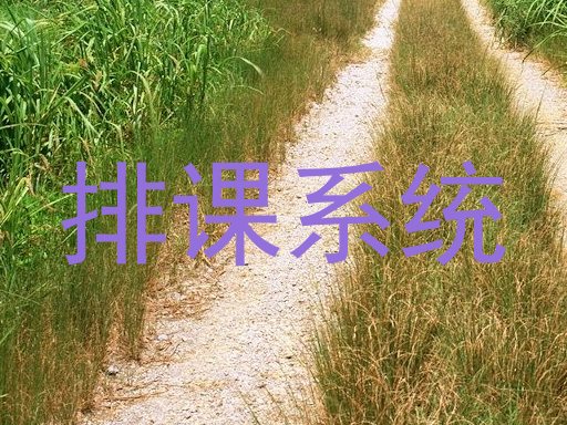 排课系统