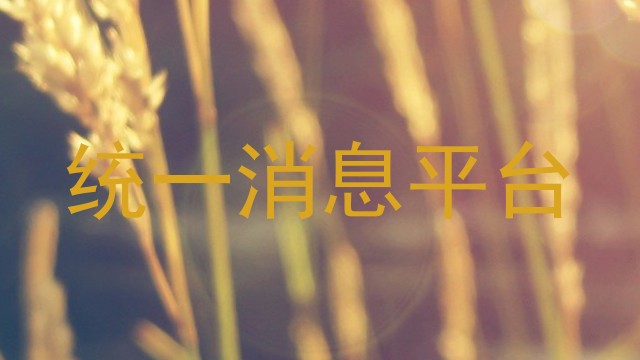统一消息平台