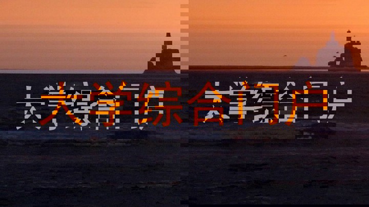 大学综合门户