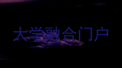 大学融合门户
