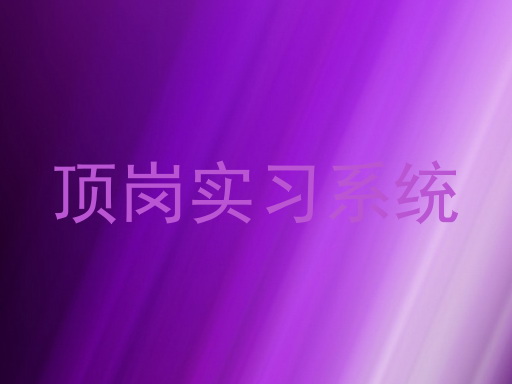 顶岗实习系统