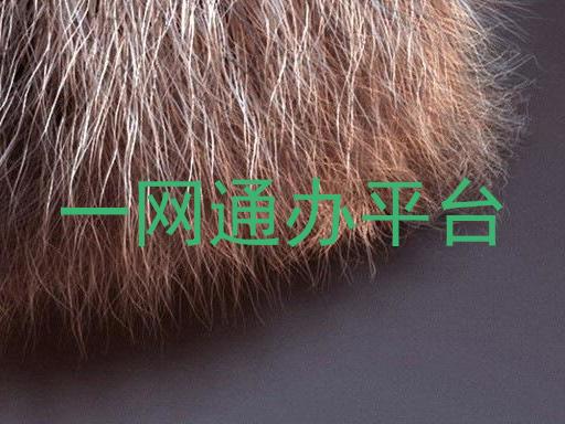 一网通办平台