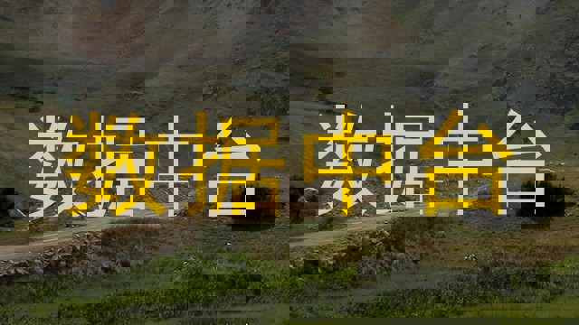 数据中台