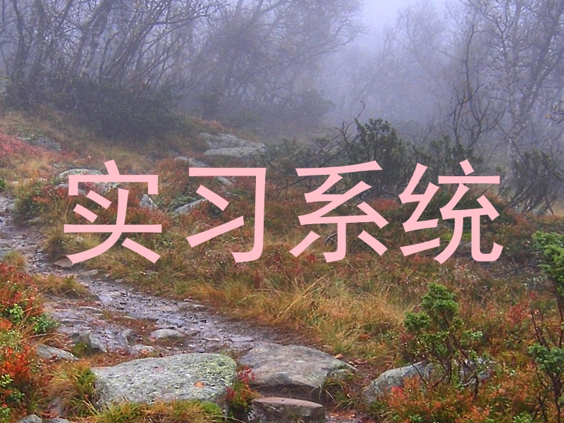 实习系统