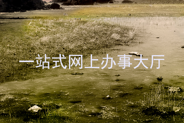 一站式网上办事大厅
