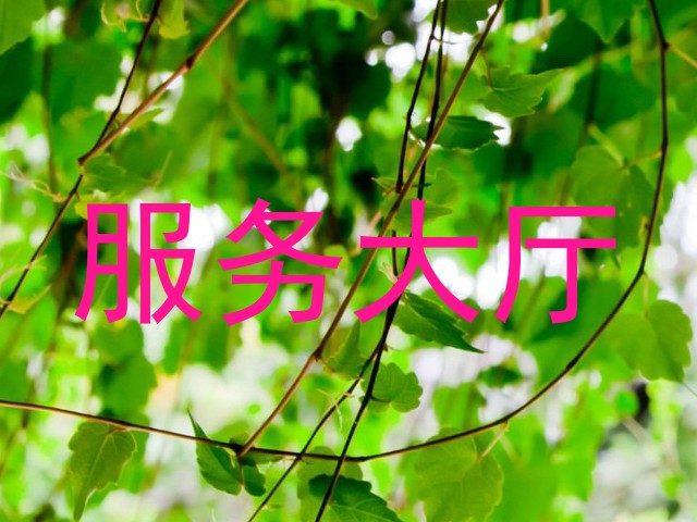 服务大厅