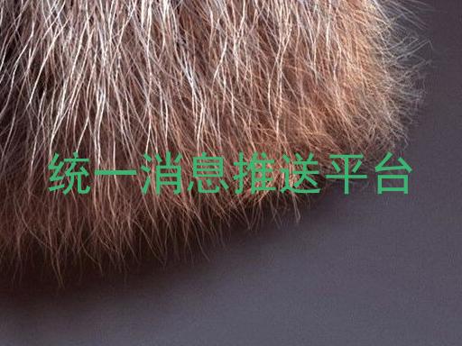 统一消息推送平台