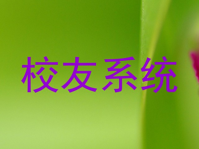 校友系统