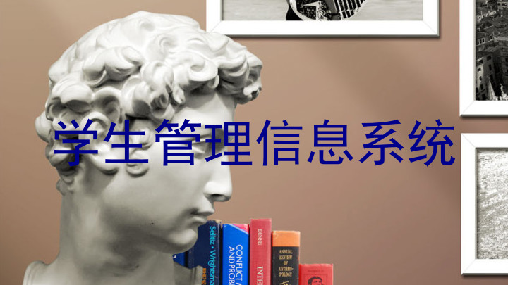 学生管理信息系统