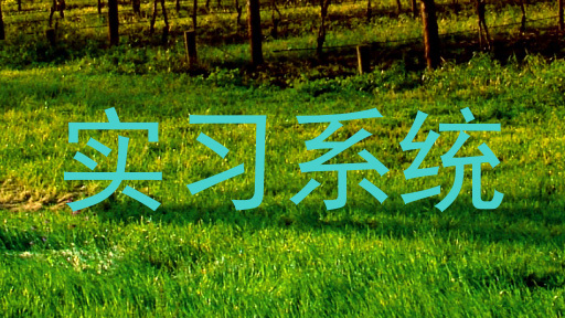 实习系统