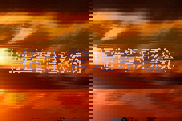 招生管理系统