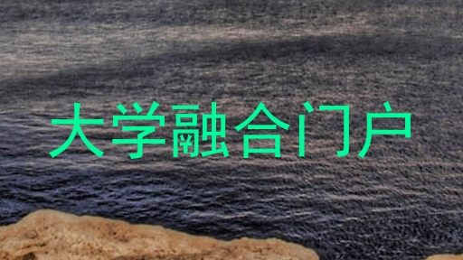 大学融合门户