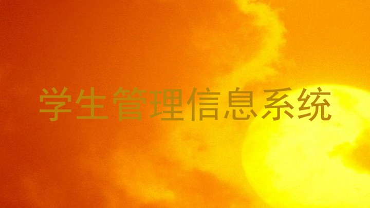 学生管理信息系统