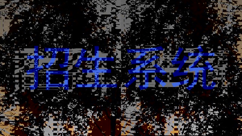 招生系统