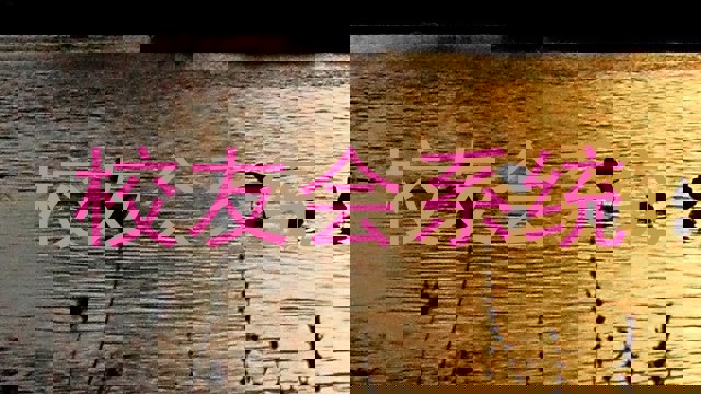校友会系统