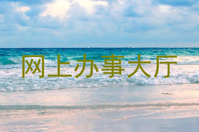 网上办事大厅