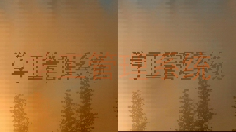 学工管理系统