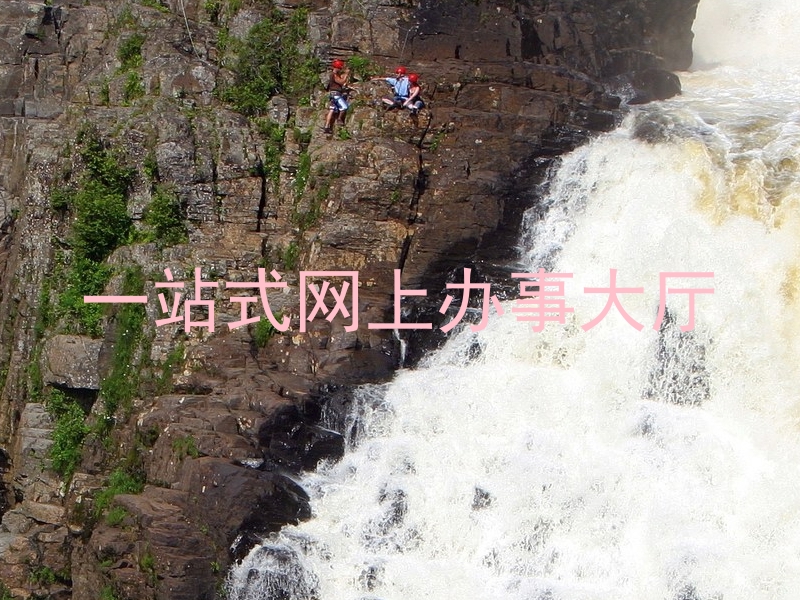 一站式网上办事大厅