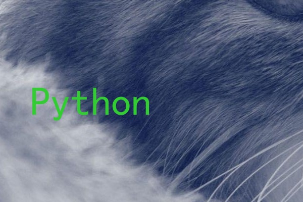 Python