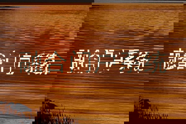 融合门户系统