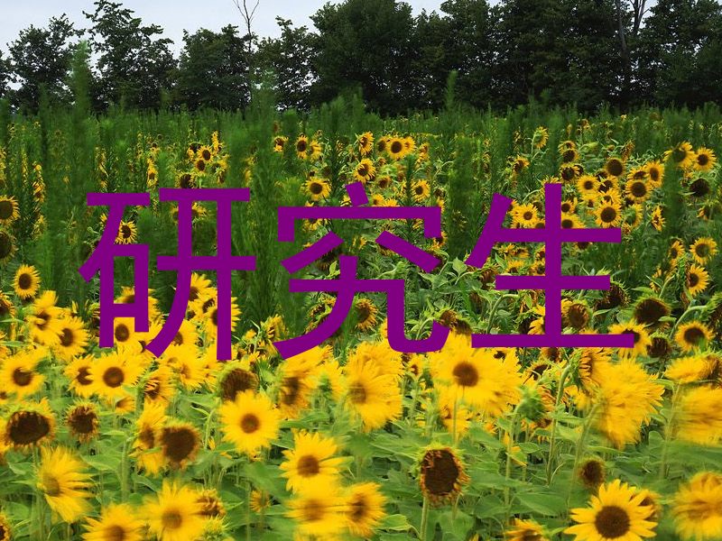 研究生