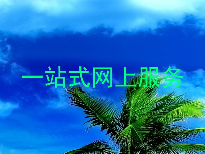 一站式网上服务