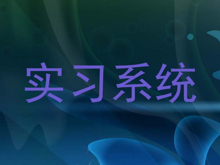 实习系统