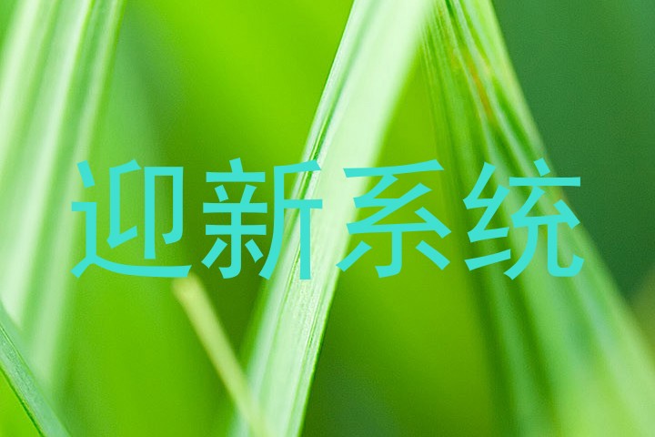 迎新系统