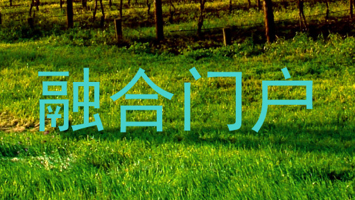 融合门户