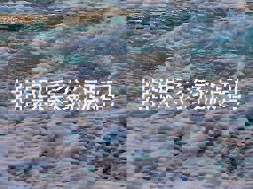 排课系统源码